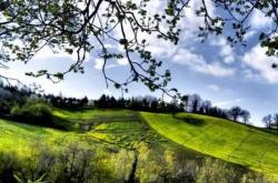 四川NBA名人赛国际球星艺人跨界(jiè)竞技(jì)