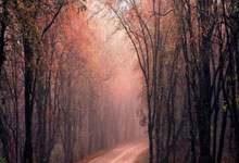 雷(léi)霆(tíng)战火箭(jiàn)，勇士斗湖人！NBA新赛季将揭幕，两场揭幕战看點(diǎn)多