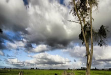 NBA季后赛對(duì)阵正式出炉！东西部豪强齐聚，谁能问鼎奥布莱恩杯？