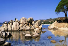 扬尼斯-阿德(dé)托(tuō)昆博(bó)带伤复出难救主？雄(xióng)鹿的(de)未來(lái)走向何方