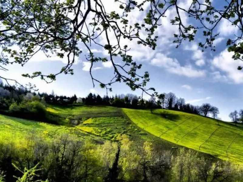四川NBA名人赛国际球星艺人跨界竞技