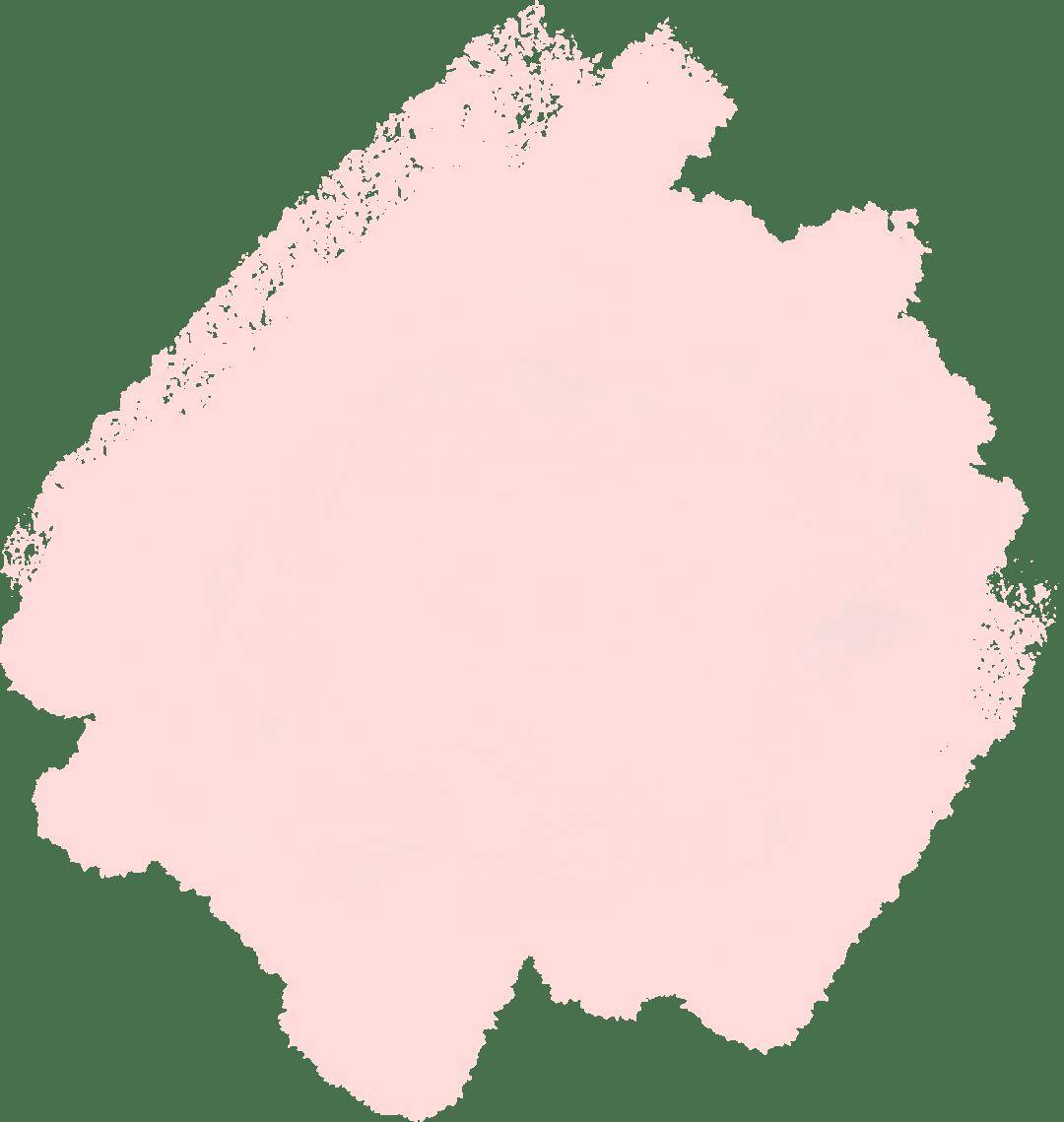 见面会精彩集锦新鲜出炉！