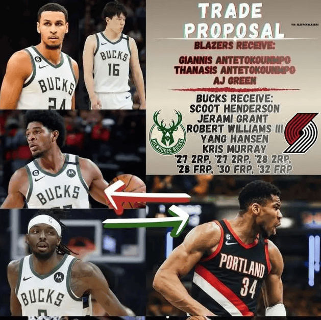 喜从天降！开拓者主帅吐真言，杨瀚森有望进入NBA争冠球队