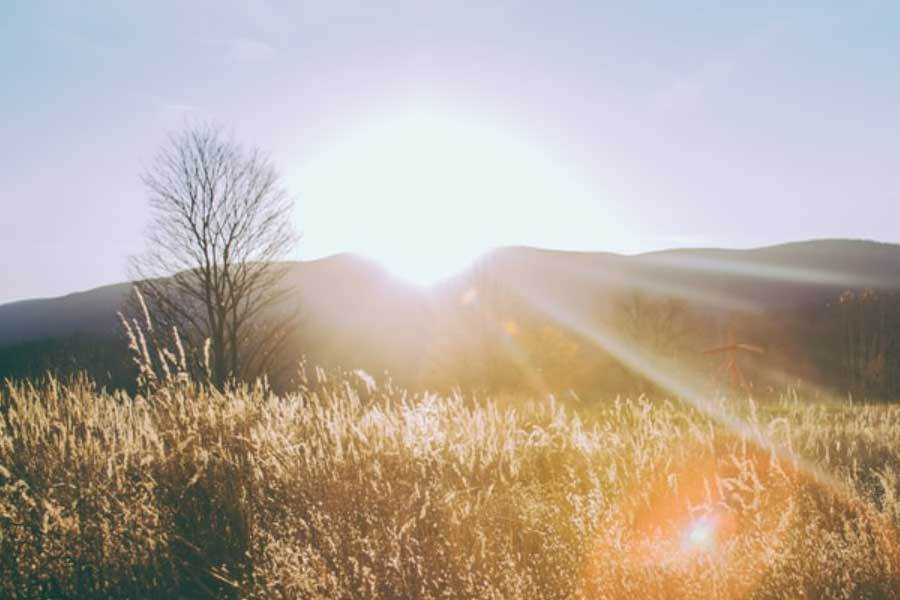 网球明星创办青少年训练营